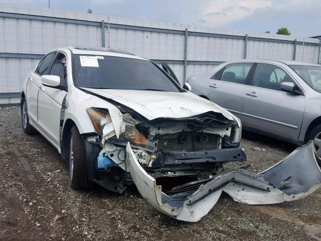 1HGCP3F85BA011551 - 2011 HONDA ACCORD EXL WHITE photo 1