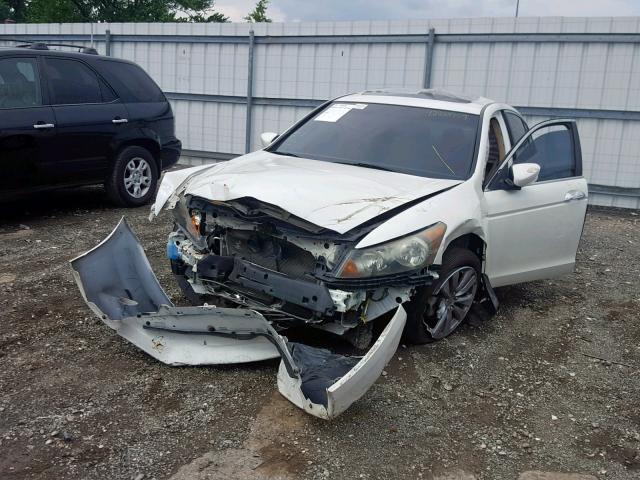 1HGCP3F85BA011551 - 2011 HONDA ACCORD EXL WHITE photo 2