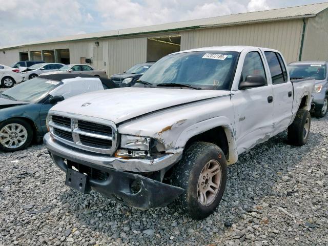 1B7HG48N32S530573 - 2002 DODGE DAKOTA QUA WHITE photo 2