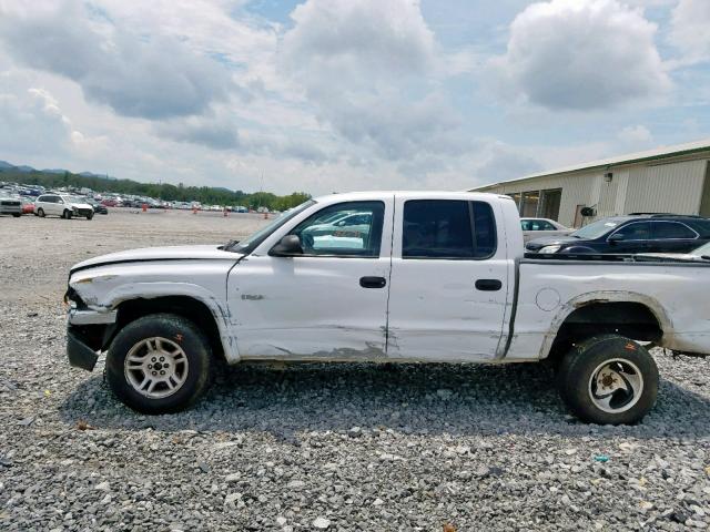 1B7HG48N32S530573 - 2002 DODGE DAKOTA QUA WHITE photo 9