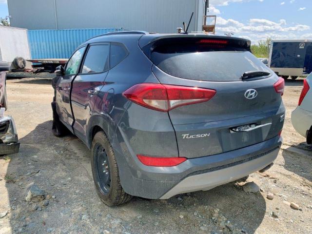 KM8J3CA25HU427509 - 2017 HYUNDAI TUCSON LIM GRAY photo 3