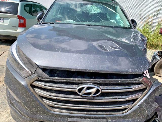 KM8J3CA25HU427509 - 2017 HYUNDAI TUCSON LIM GRAY photo 7