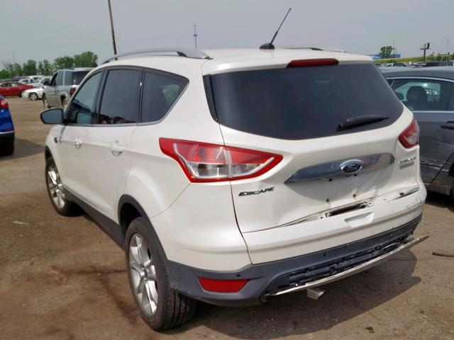 1FMCU0J98EUD64631 - 2014 FORD ESCAPE TIT WHITE photo 3