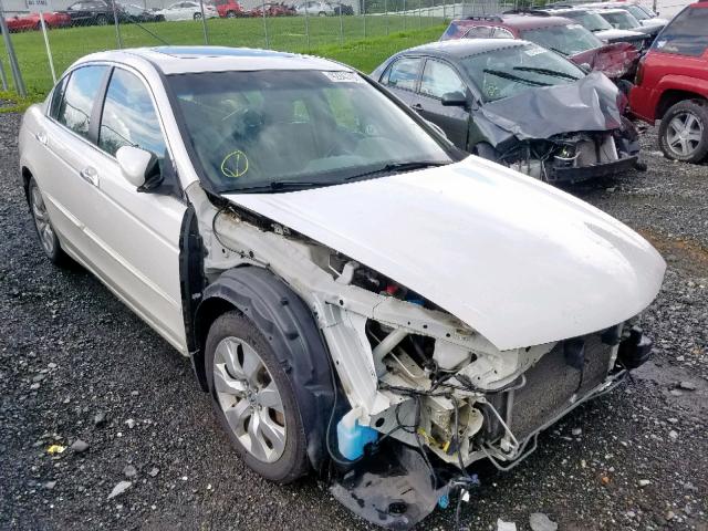 1HGCP36889A016155 - 2009 HONDA ACCORD EXL WHITE photo 1