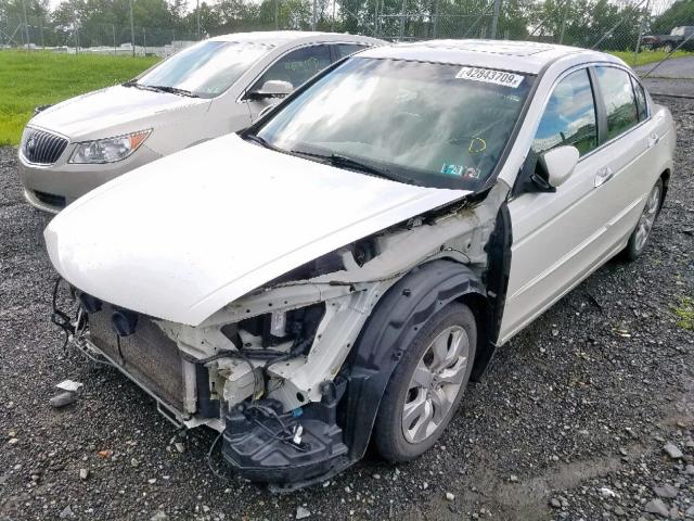 1HGCP36889A016155 - 2009 HONDA ACCORD EXL WHITE photo 2