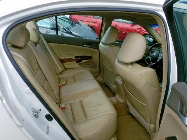 1HGCP36889A016155 - 2009 HONDA ACCORD EXL WHITE photo 6