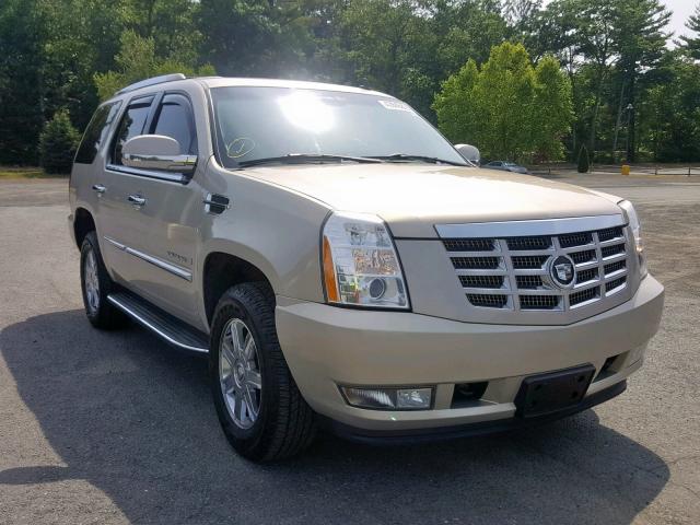 1GYFK63877R315371 - 2007 CADILLAC ESCALADE L GOLD photo 1