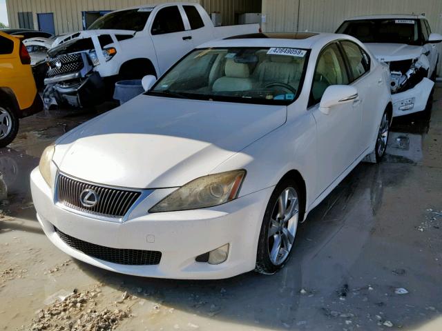 JTHBK262092083419 - 2009 LEXUS IS 250 WHITE photo 2