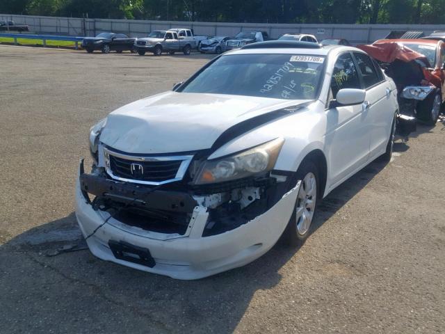 5KBCP3F86AB003996 - 2010 HONDA ACCORD EXL WHITE photo 2