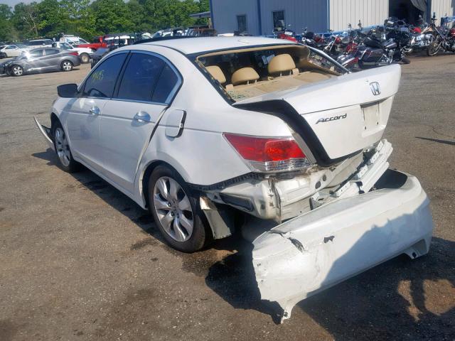 5KBCP3F86AB003996 - 2010 HONDA ACCORD EXL WHITE photo 3