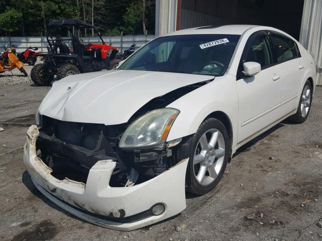 1N4BA41E26C820407 - 2006 NISSAN MAXIMA SE WHITE photo 2