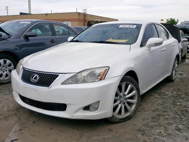 JTHCK262895030213 - 2009 LEXUS IS 250 WHITE photo 2