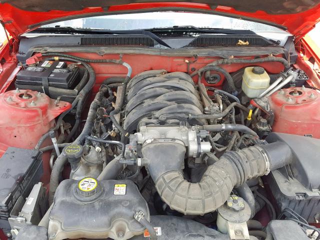 1ZVFT82H965114686 - 2006 FORD MUSTANG GT RED photo 7