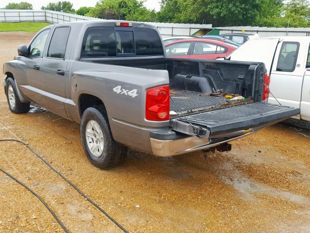 1D7HW48NX5S253918 - 2005 DODGE DAKOTA QUA GRAY photo 3