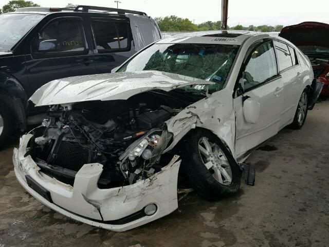 1N4BA41E56C812088 - 2006 NISSAN MAXIMA SE WHITE photo 2