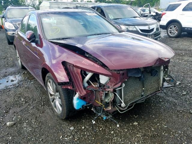 1HGCP2F83CA111949 - 2012 HONDA ACCORD EXL BURGUNDY photo 1