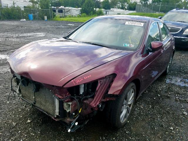 1HGCP2F83CA111949 - 2012 HONDA ACCORD EXL BURGUNDY photo 2