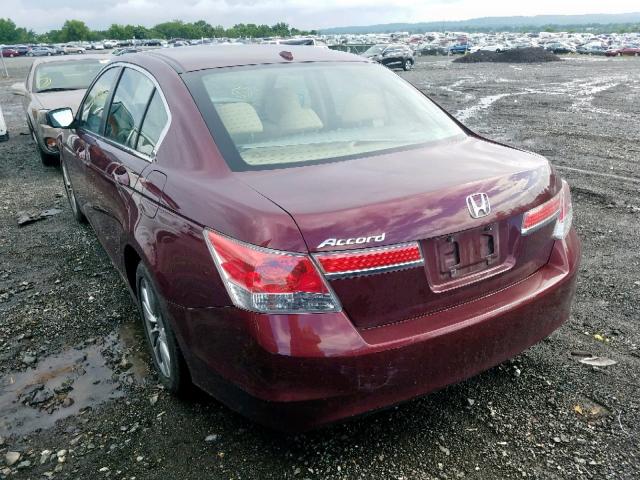 1HGCP2F83CA111949 - 2012 HONDA ACCORD EXL BURGUNDY photo 3