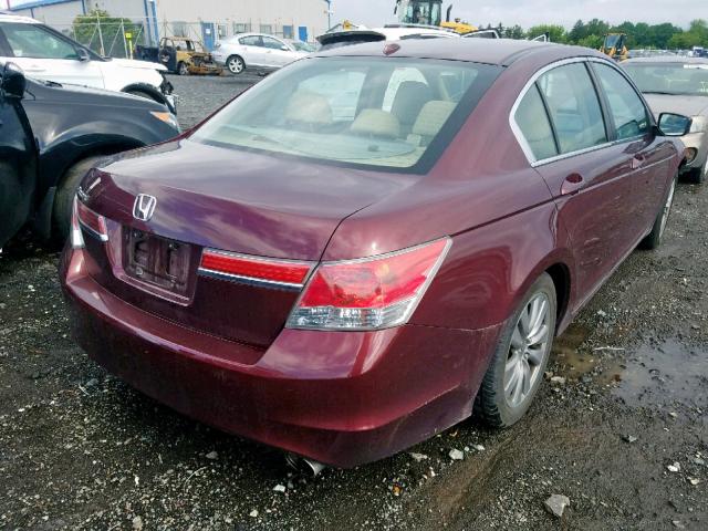 1HGCP2F83CA111949 - 2012 HONDA ACCORD EXL BURGUNDY photo 4