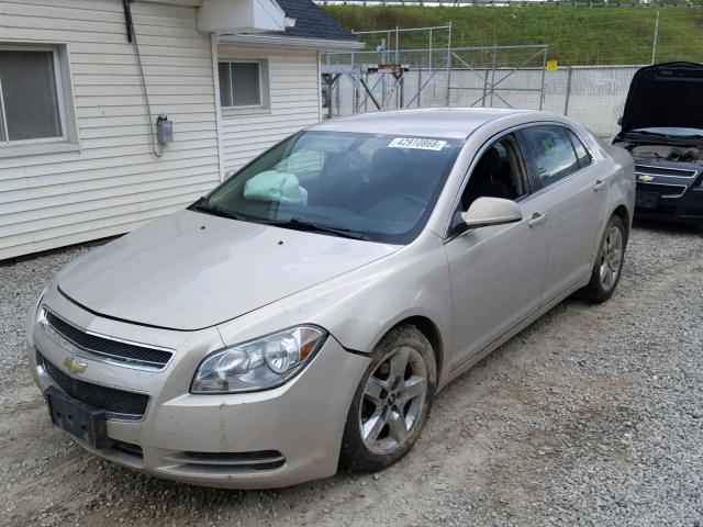 1G1ZH57B69F242783 - 2009 CHEVROLET MALIBU 1LT TAN photo 2