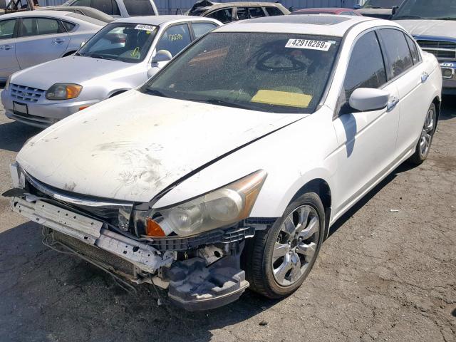 1HGCP36888A031432 - 2008 HONDA ACCORD EXL WHITE photo 2