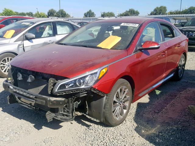 5NPE34AFXFH054893 - 2015 HYUNDAI SONATA SPO BURGUNDY photo 2