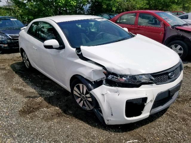 KNAFU6A25D5679500 - 2013 KIA FORTE EX WHITE photo 1