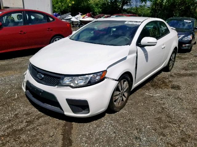 KNAFU6A25D5679500 - 2013 KIA FORTE EX WHITE photo 2