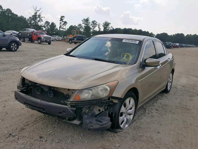 JHMCP26848C064374 - 2008 HONDA ACCORD EXL TAN photo 2