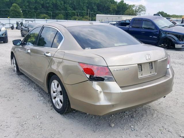 JHMCP26848C064374 - 2008 HONDA ACCORD EXL TAN photo 3