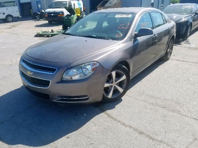 1G1ZC5EU1BF244840 - 2011 CHEVROLET MALIBU 1LT 棕色 照片 2