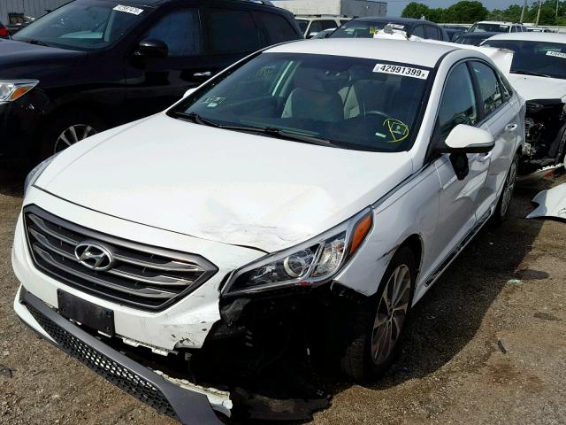 5NPE34AF2GH336124 - 2016 HYUNDAI SONATA SPO WHITE photo 2