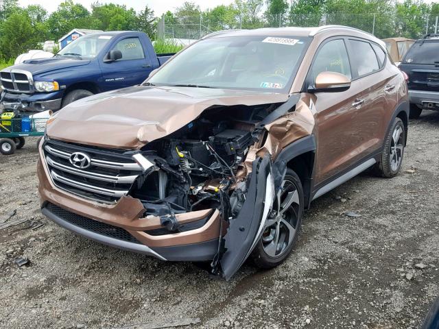 KM8J3CA22HU386885 - 2017 HYUNDAI TUCSON LIM BROWN photo 2