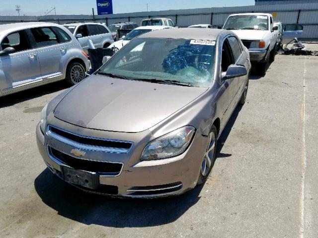 1G1ZC5E04CF191890 - 2012 CHEVROLET MALIBU 1LT BROWN photo 2