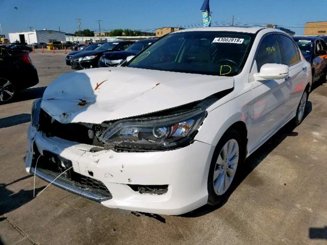 1HGCR3F87EA009881 - 2014 HONDA ACCORD EXL WHITE photo 2