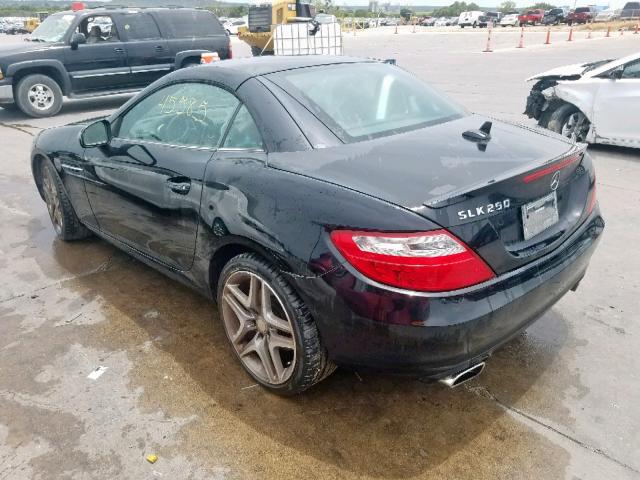 WDDPK4HA1EF080447 - 2014 MERCEDES-BENZ SLK 250 BLACK photo 3