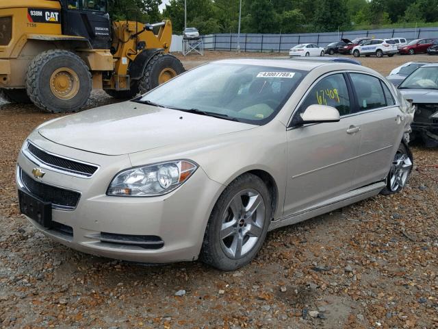 1G1ZC5EB2AF134053 - 2010 CHEVROLET MALIBU 1LT GOLD photo 2