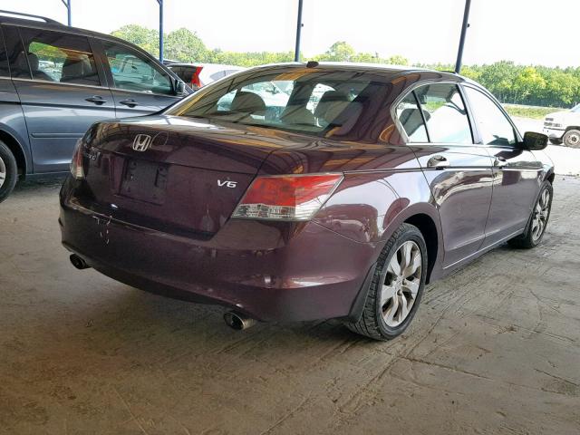 5KBCP3F86AB010687 - 2010 HONDA ACCORD EXL MAROON photo 4