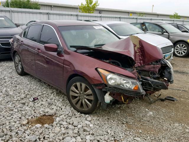 1HGCP2F81CA121556 - 2012 HONDA ACCORD EXL RED photo 1