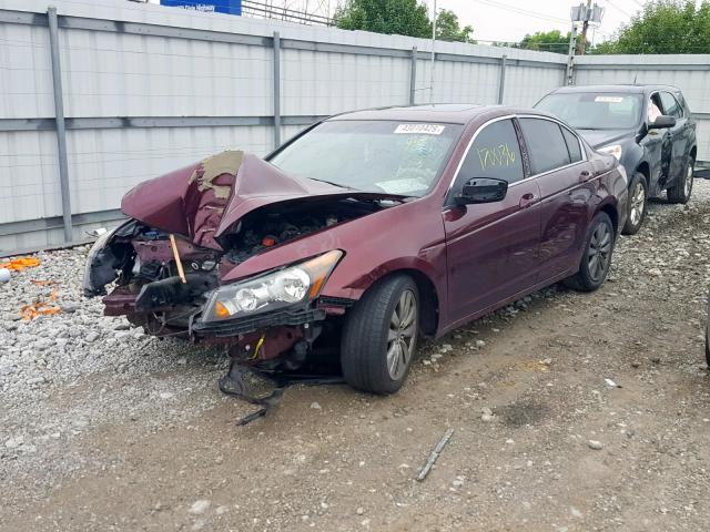 1HGCP2F81CA121556 - 2012 HONDA ACCORD EXL RED photo 2