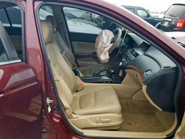 1HGCP2F81CA121556 - 2012 HONDA ACCORD EXL RED photo 5