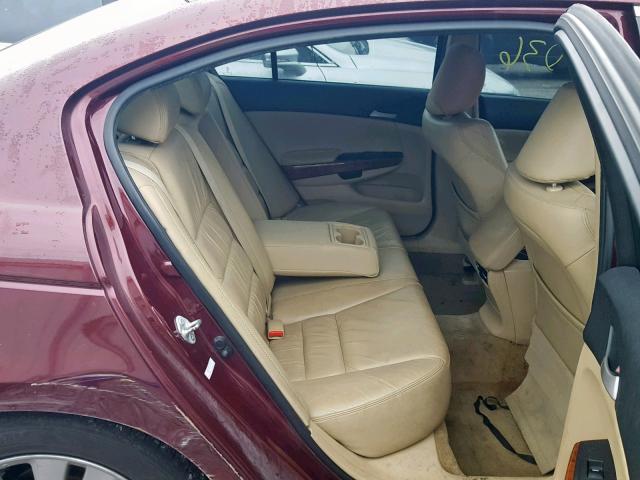 1HGCP2F81CA121556 - 2012 HONDA ACCORD EXL RED photo 6