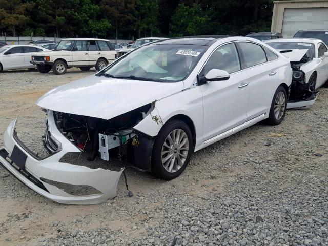 5NPE34AF9FH107275 - 2015 HYUNDAI SONATA SPO WHITE photo 2