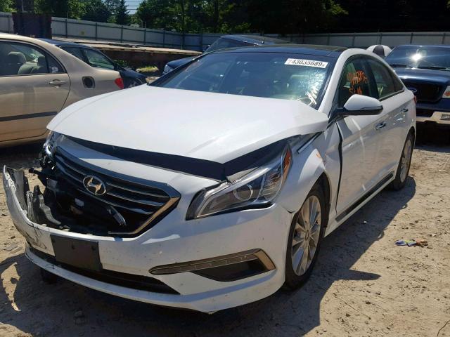 5NPE34AF9FH052391 - 2015 HYUNDAI SONATA SPO WHITE photo 2