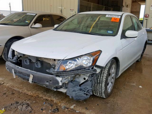 1HGCP26839A116951 - 2009 HONDA ACCORD EXL WHITE photo 2