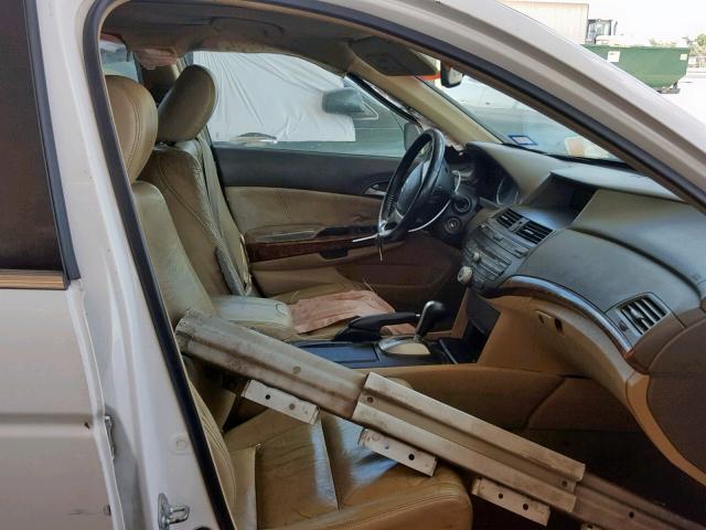 1HGCP26839A116951 - 2009 HONDA ACCORD EXL WHITE photo 5