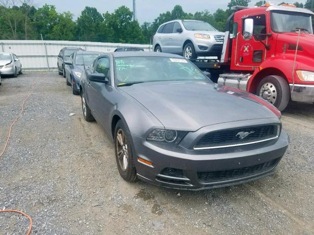 1ZVBP8AM5D5254121 - 2013 FORD MUSTANG GRAY photo 1
