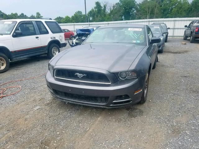 1ZVBP8AM5D5254121 - 2013 FORD MUSTANG GRAY photo 2