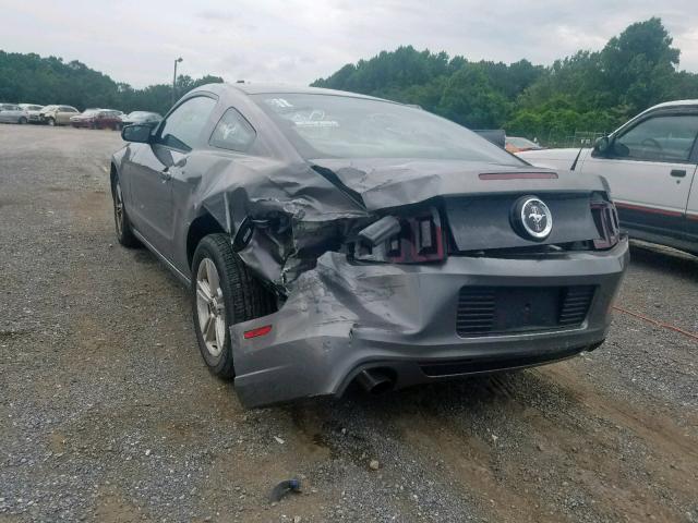 1ZVBP8AM5D5254121 - 2013 FORD MUSTANG GRAY photo 3