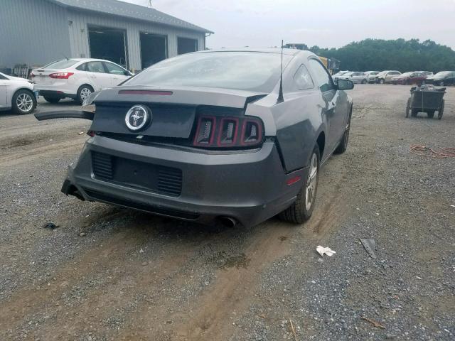 1ZVBP8AM5D5254121 - 2013 FORD MUSTANG GRAY photo 4